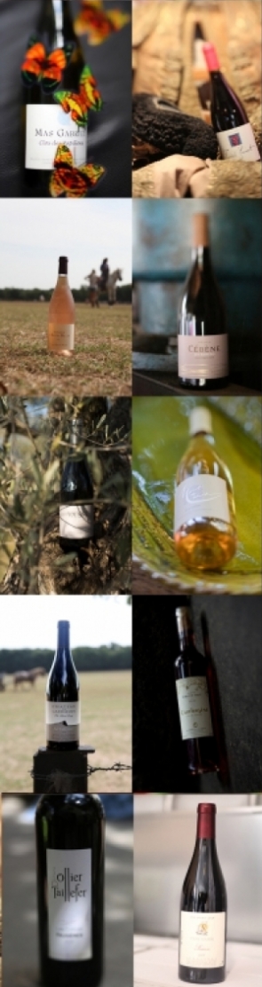 Bouteilles